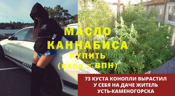 твердый Богданович