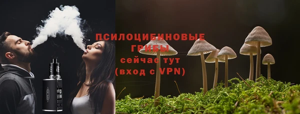 твердый Богданович