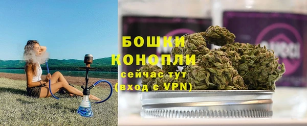 твердый Богданович